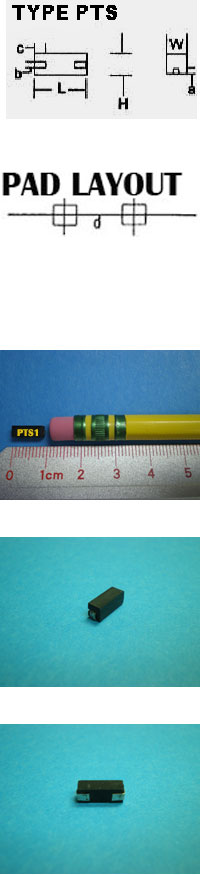 PTS1 .05W Custom (+) TCR Temperature-Sensitive Wire Wound  Compensator Surface Mounted Device (SMD)