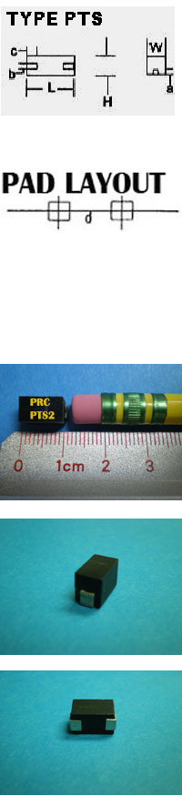PTS2 .1W Custom (+) TCR Temperature Sensitive Wire Wound Compensator Surface Mounted Device (SMD)