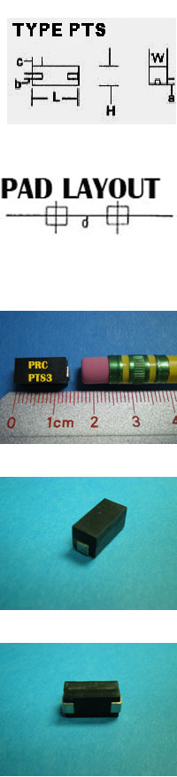 PTS3 .25W Custom (+) TCR Temperature Sensitive Wire Wound  Compensator Surface Mounted Device (SMD)